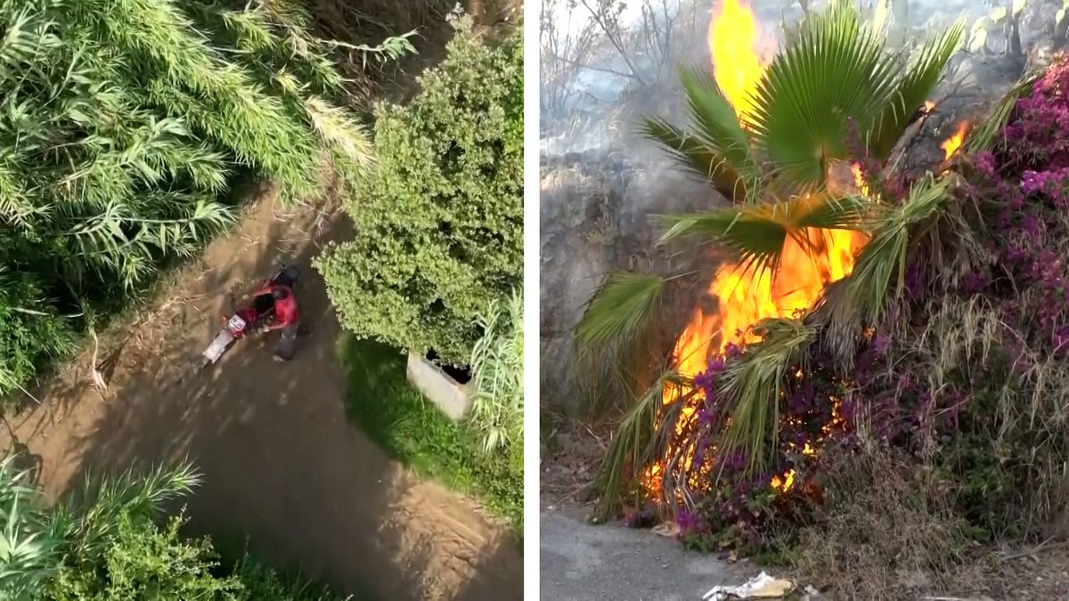 To rozum nebere. Dron natočil žháře zakládajícího lesní požár v italské Kalábrii